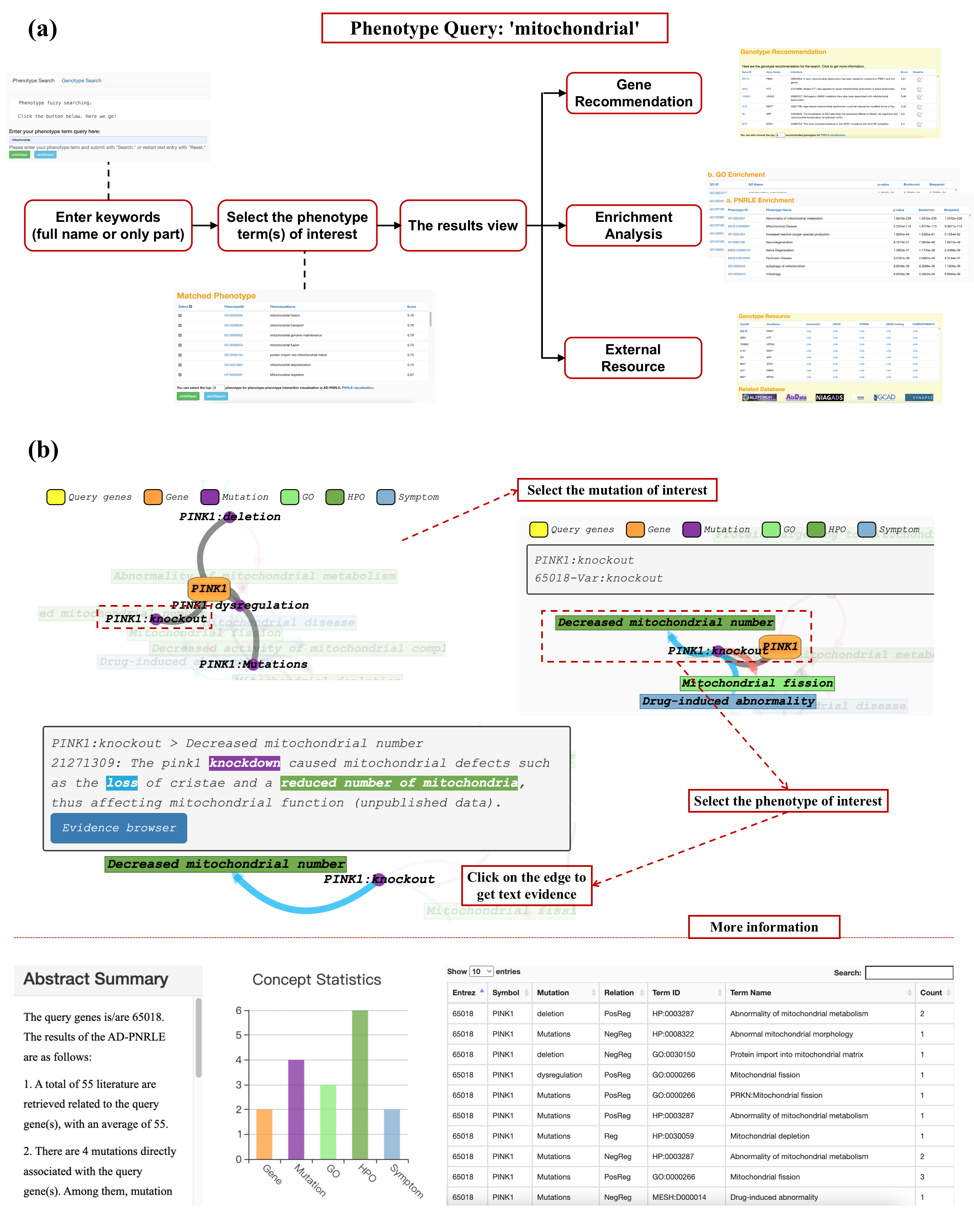 AD-LitPathoNet数据库使用指南